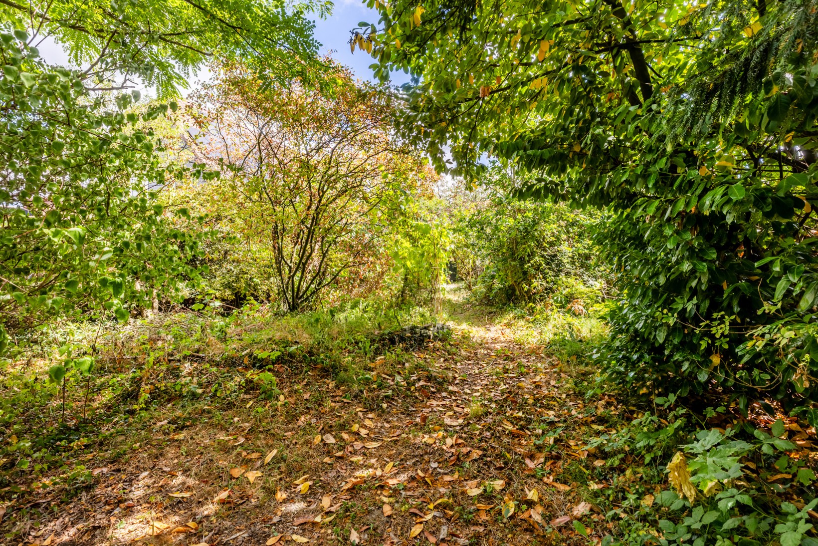Vrijstaande woning te koop: Duinoordseweg 22, Oostvoorne