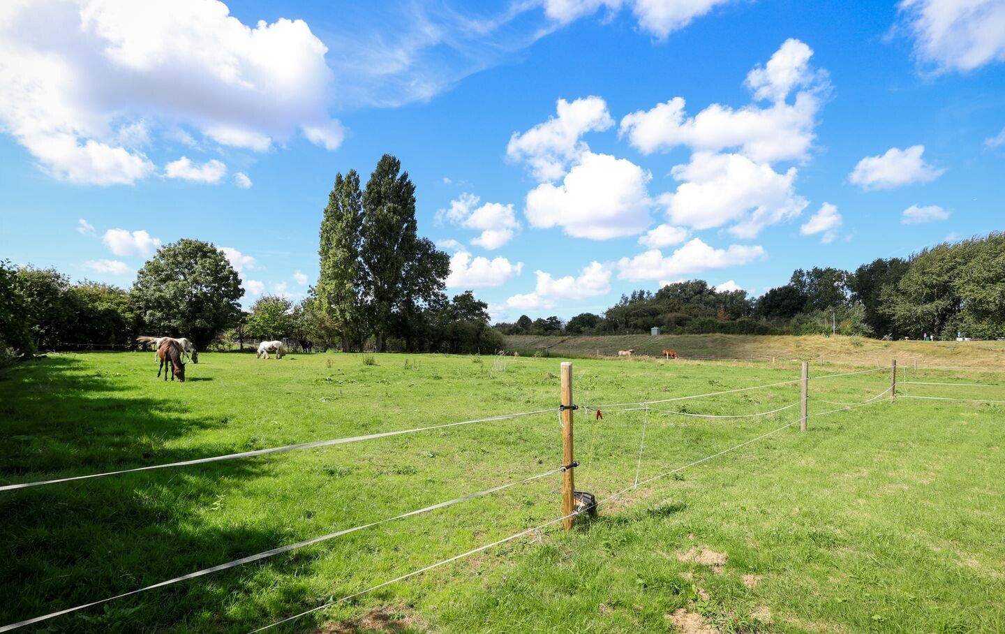 Vrijstaande woning te koop: Bollaarsdijk 2, Oostvoorne