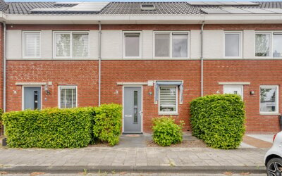 Iepenblad 10