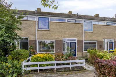 van Goyenstraat 19
