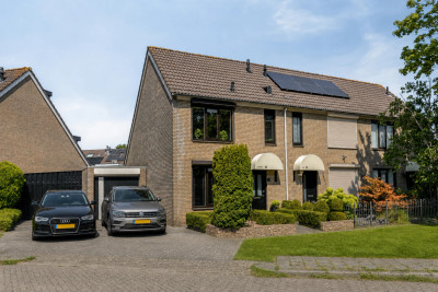 Scholekster 6