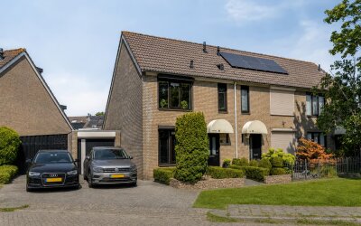 Scholekster 6