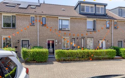 Schouw 38