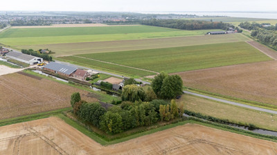 Hallinxweg 48
