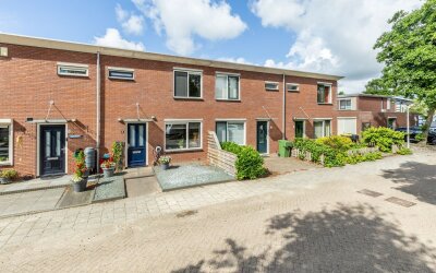 Kleine Vos 6