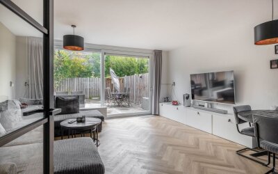 Roodborst 41