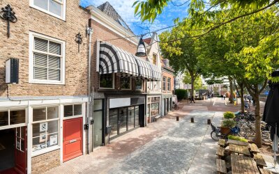 Vriesestraat 162