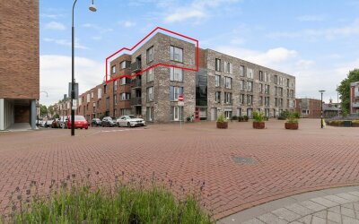 Torenstraat 221