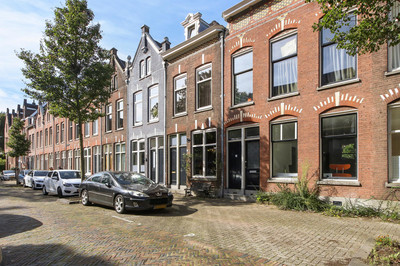 Koninginnes. 43