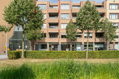 Max Gootelaan 81