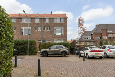 Standhasens. 51