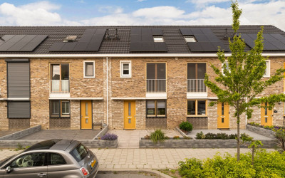 Pieter de H. 10