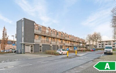 Stadspolder. 231