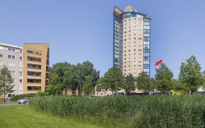Van Eestere. 276