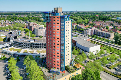 Van Eestere. 333