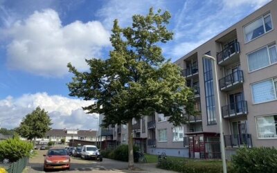 Banckertstr. 78