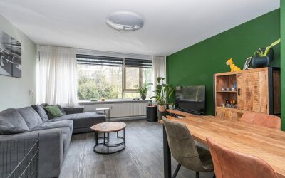 Groen van P. 11