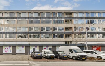 Groen van P. 61