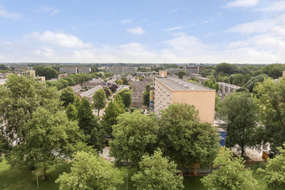 Sterrenburg. 80