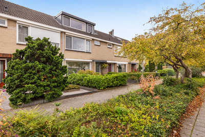 Iepenlaan 45