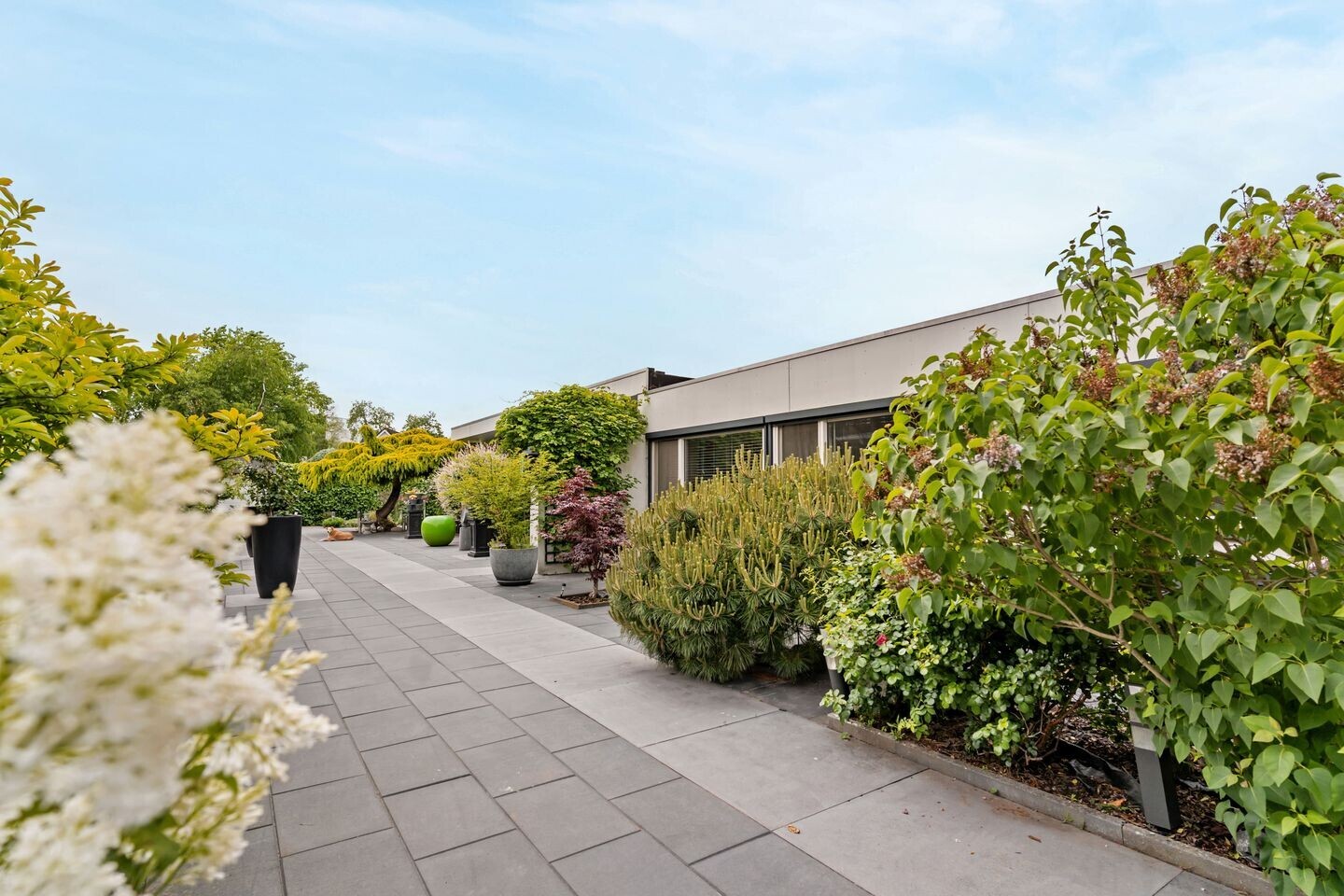 Vrijstaande woning te koop: Anjerstraat 73, Zwijndrecht