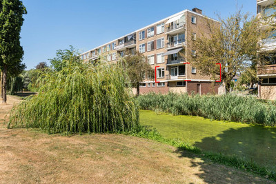 Dahliastraat 184
