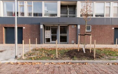 Zonnebloemstraat 168