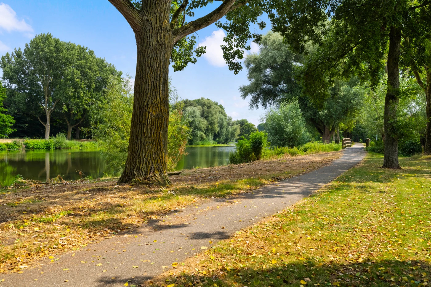 Vrijstaande woning te koop: Lindeweg 10, Zwijndrecht