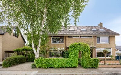 Opvliet 4