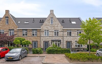 Aalscholver 18