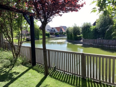 Aalscholver 4