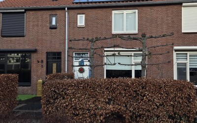 Lindestraat 7
