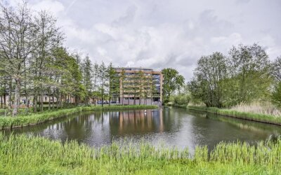 Akkerviool 85