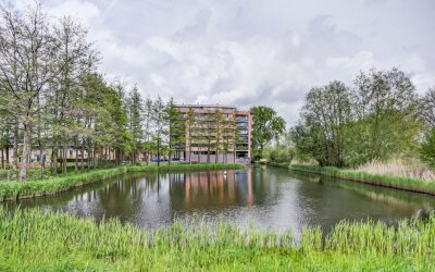 Akkerviool 89