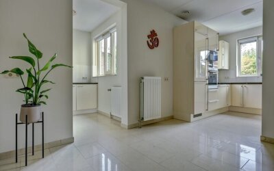 Zwanebloem 47
