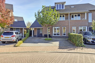 Meerval 26