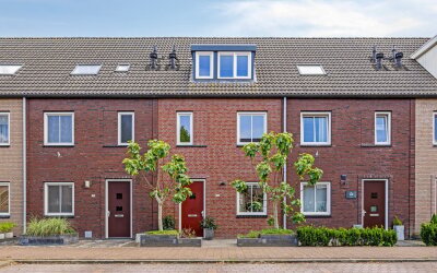 Steur 146