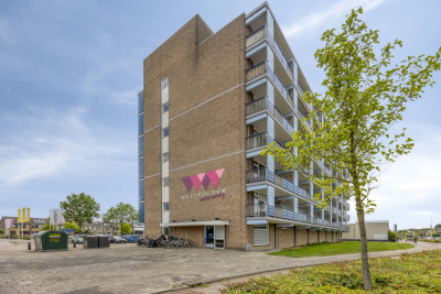 Gerard Dousingel 22