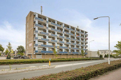 Gerard Dousingel 68