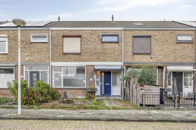 Pieter Brueghelstraat 11