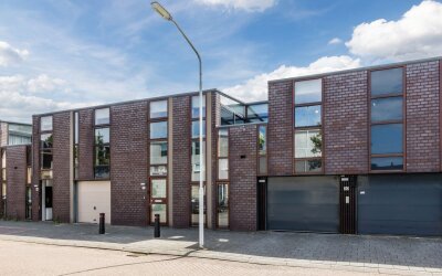 Zonnebloems. 32