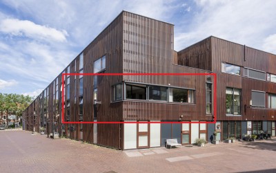 Dotterbloem 9