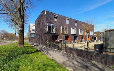 Blauw druifje 1