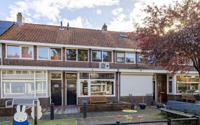 Rijshoutstraat 24