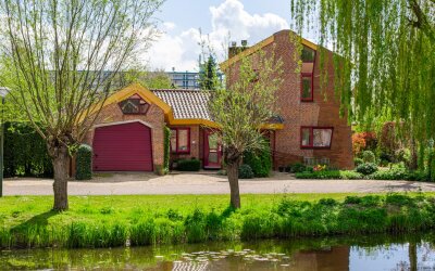 Knobbelzwaan 4