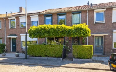 Groen van P. 6
