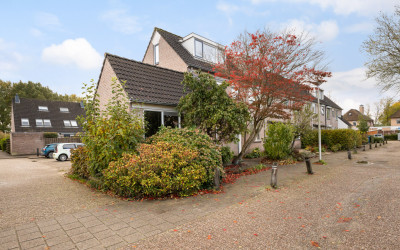 Sijpesteijn 23