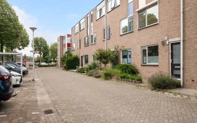 Goudplevier 37