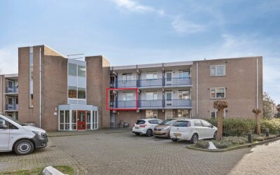 Goudplevier 63