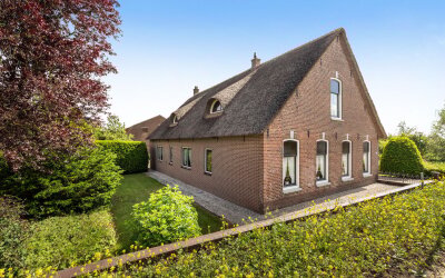 Dorp 225